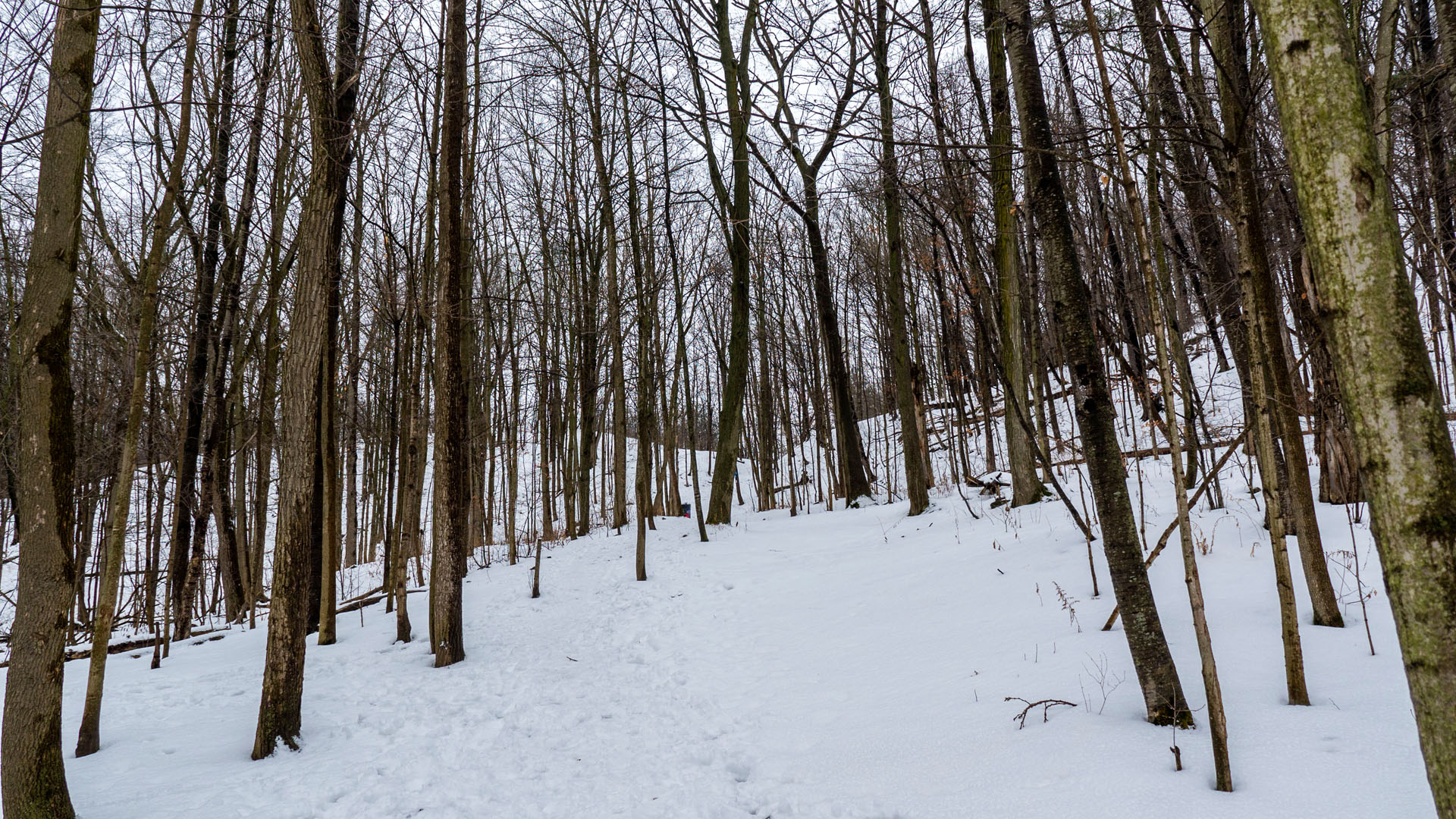 Hiking at Albion Falls, Hamilton