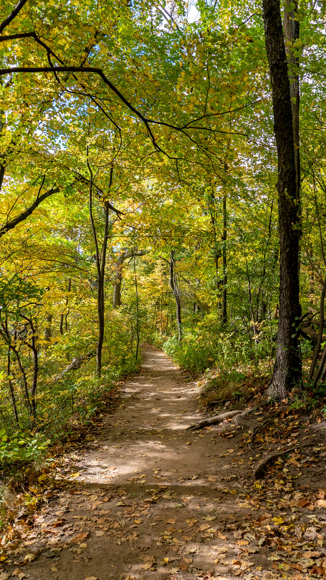 Hiking to the Dundas Peak