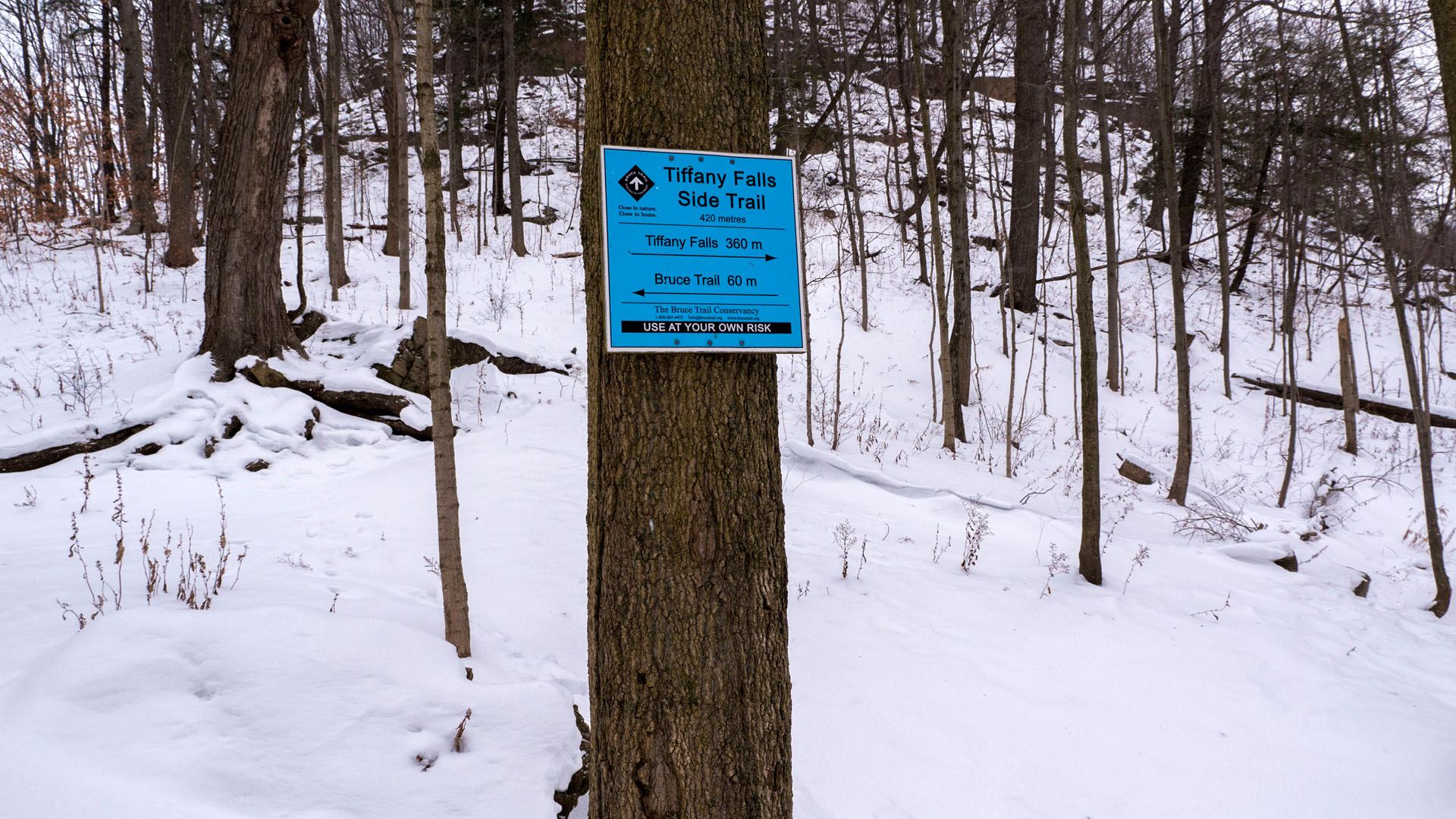Tiffany Falls Trail Sign
