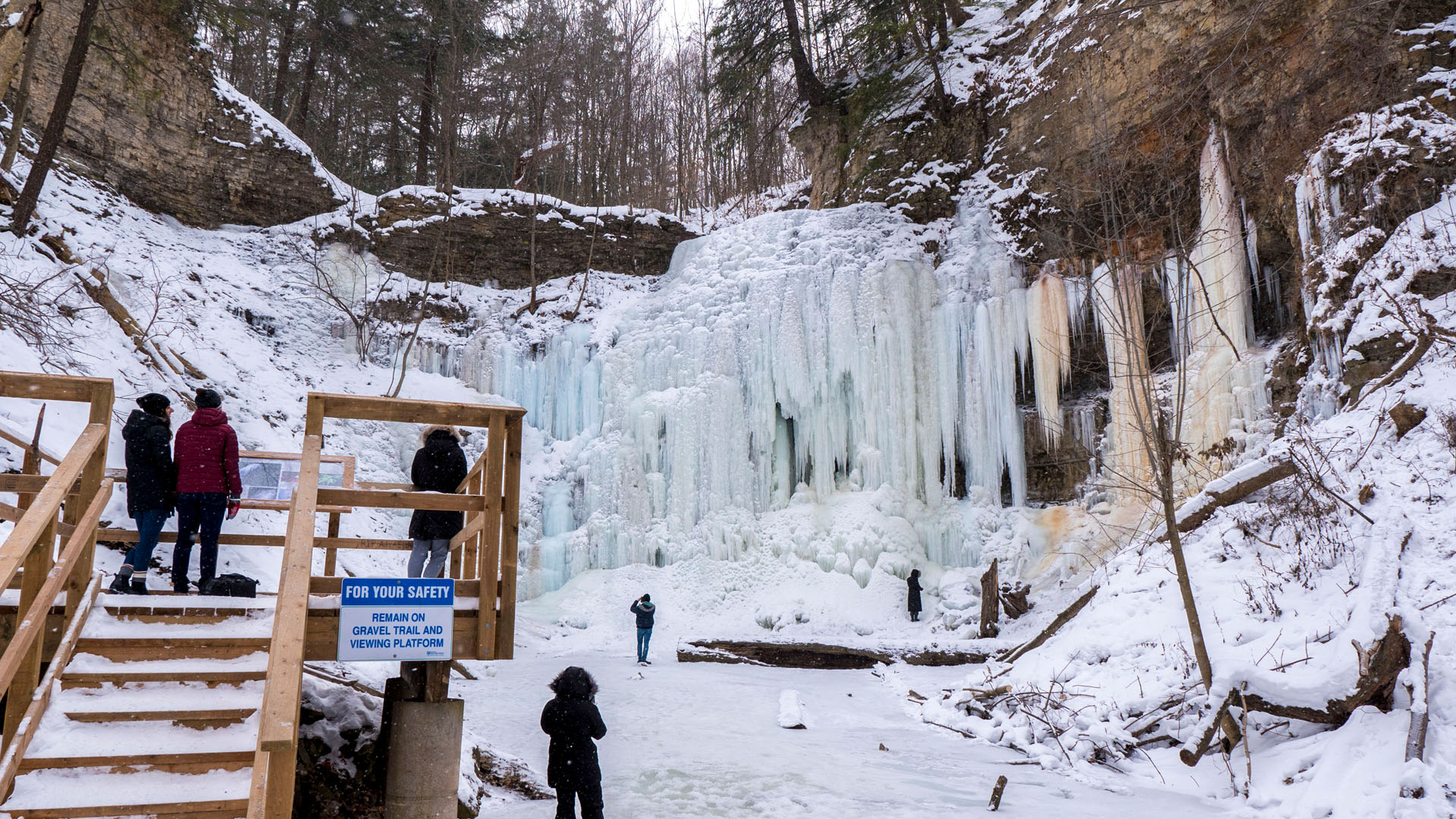 Viewing platform at Tiffany Falls
