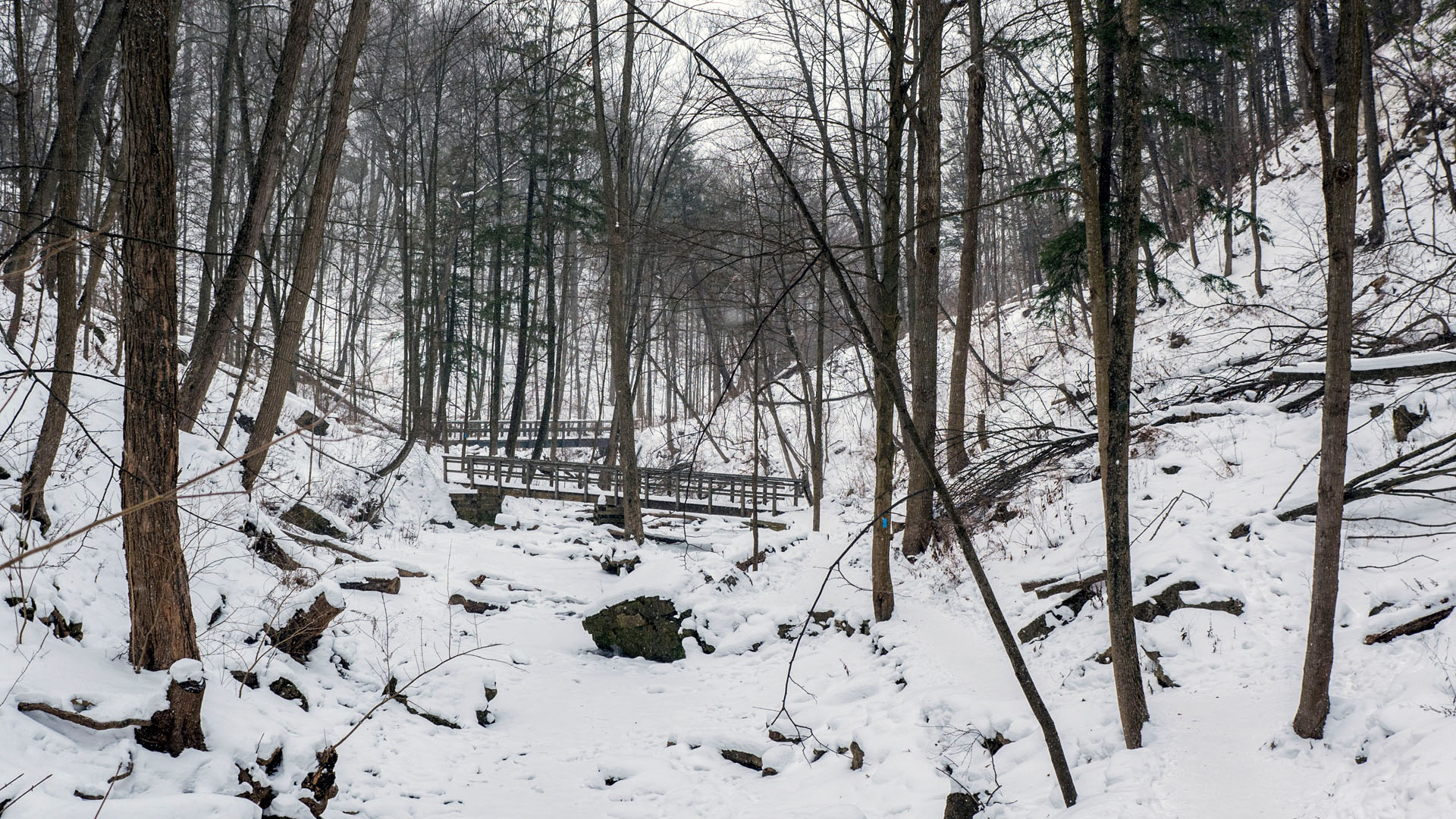 Trail and bridge at Tiffany Falls in winter