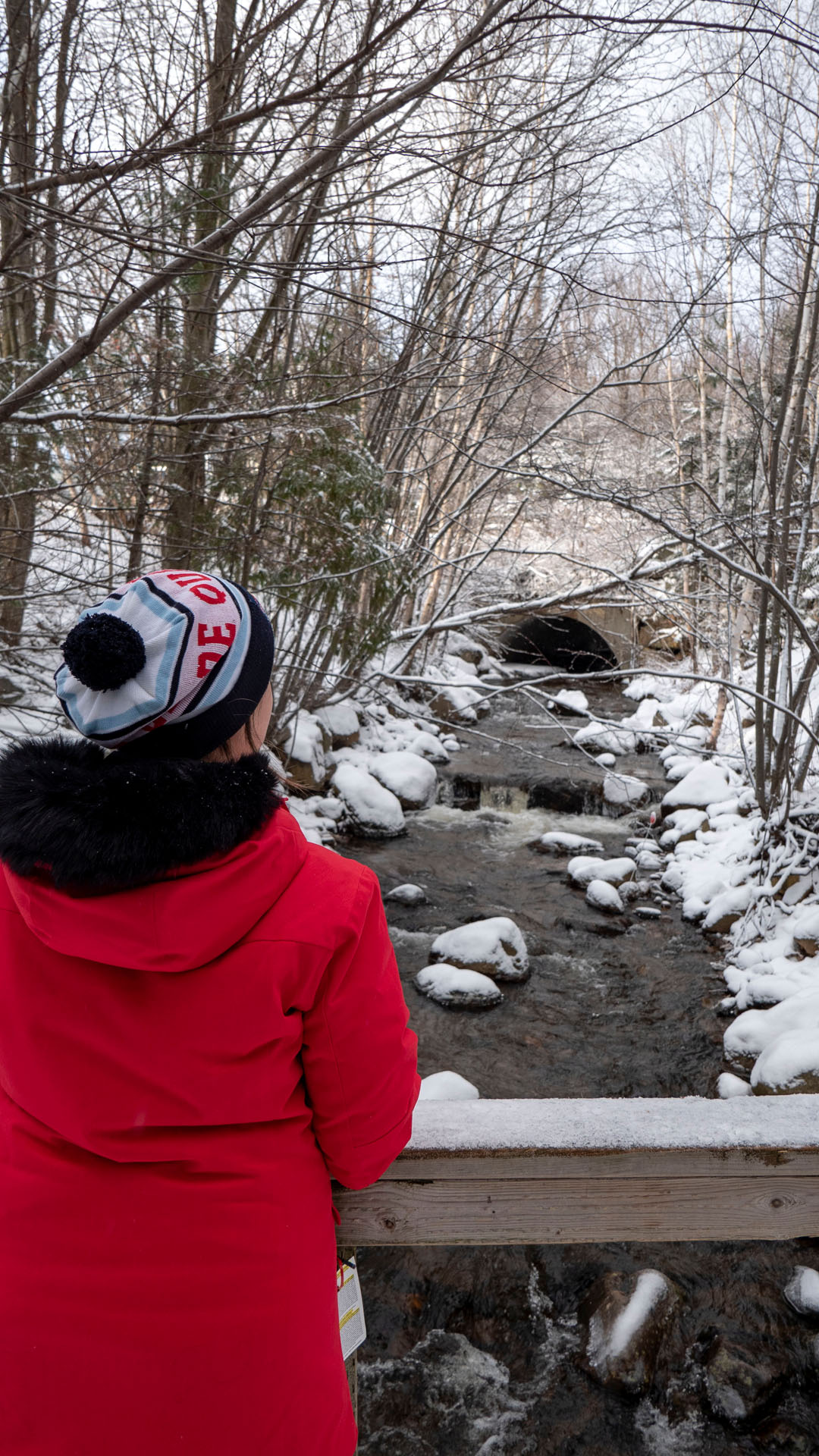 2019-MontTremblant056 Winter hiking and snowshoeing at Mont Tremblant Quebec
