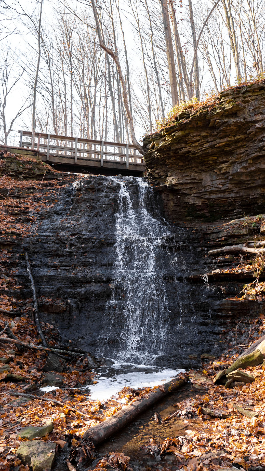 Canterbury Falls