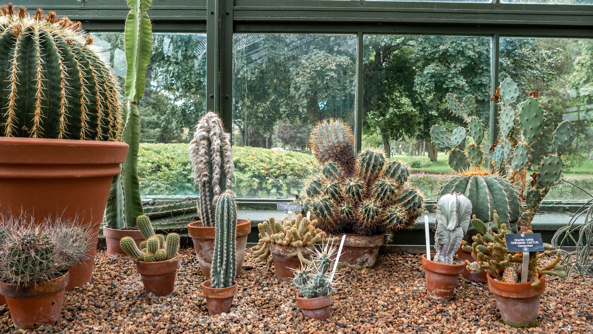 Floral Showhouse