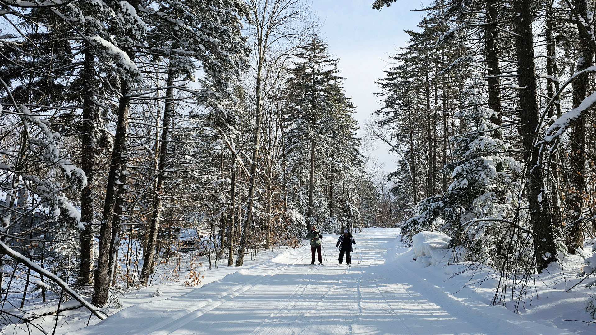 Cross-Country Skiing at Mountain Top