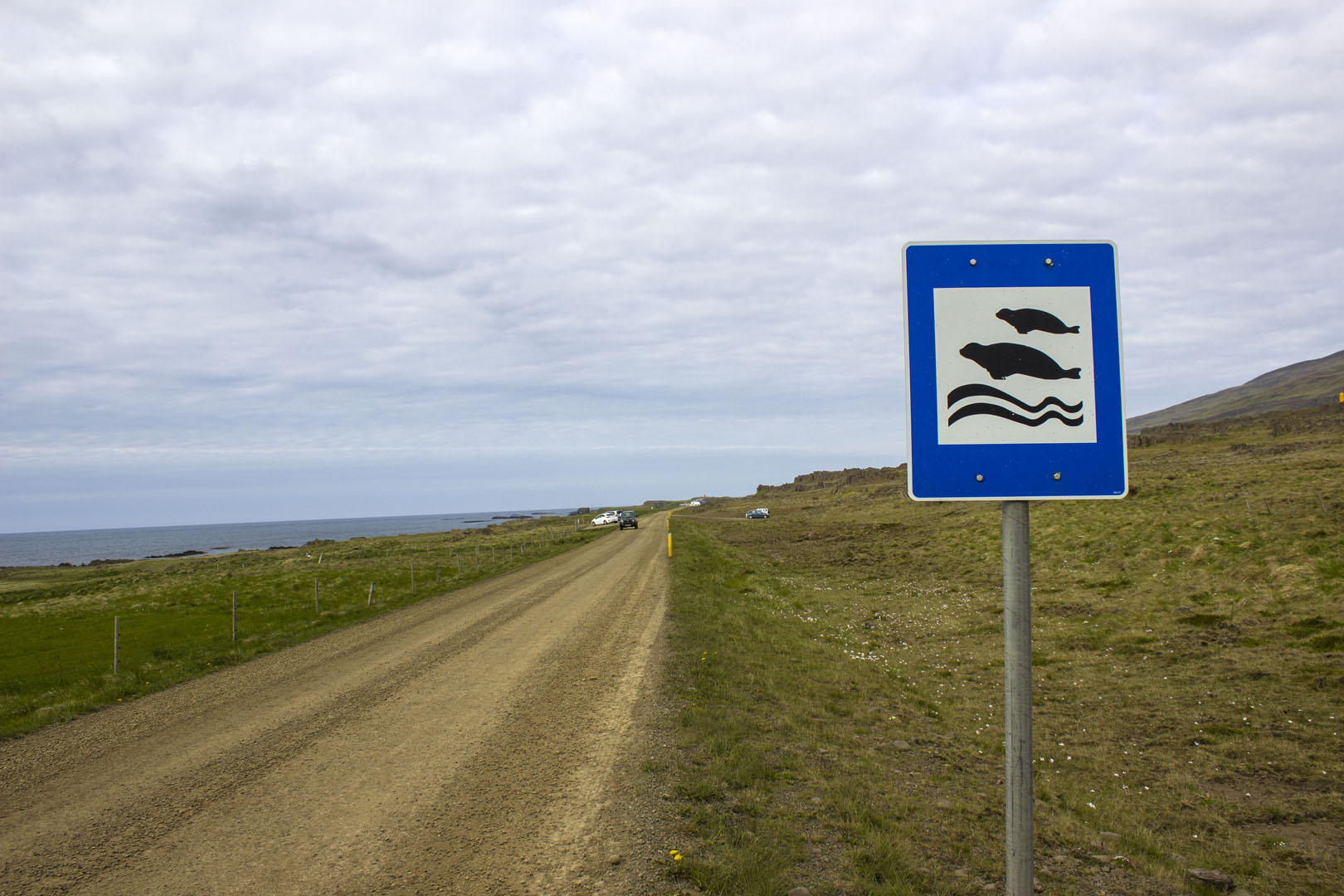 2016-Hvammstangi026 Seal watching in Iceland