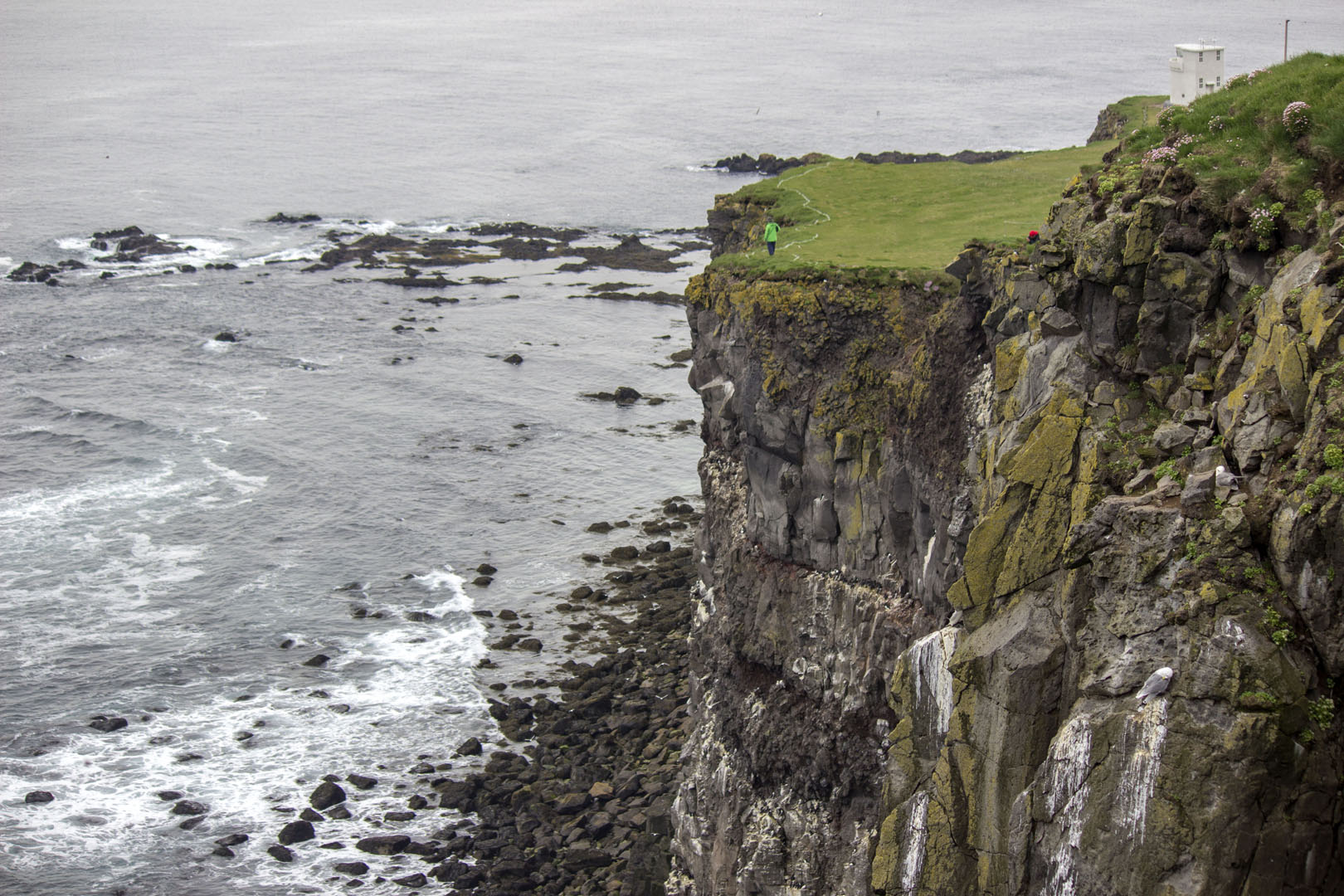 2016-Westfjords082 Latrabjarg Cliffs
