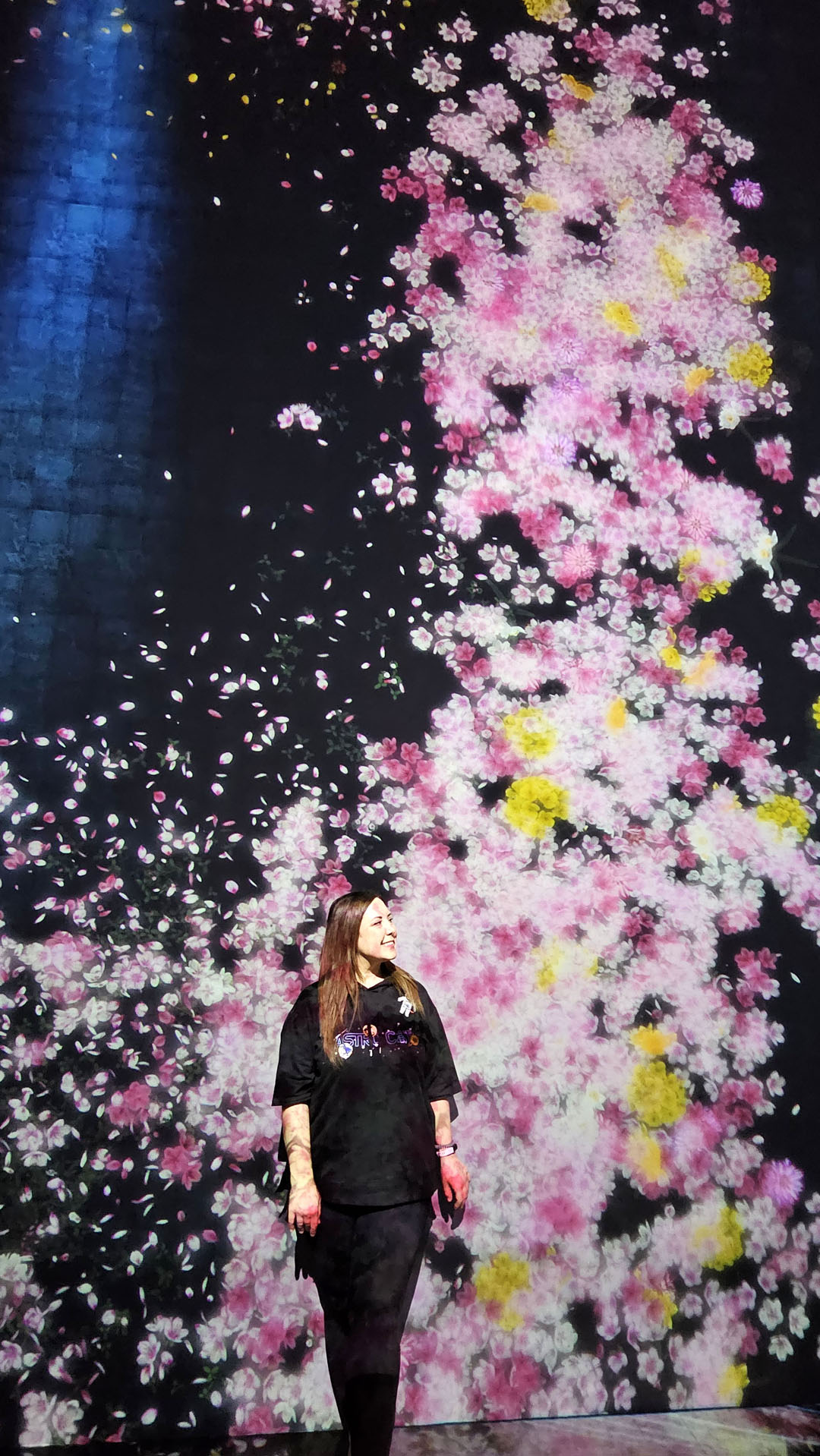 2025-Tokyo378 Teamlab Borderless