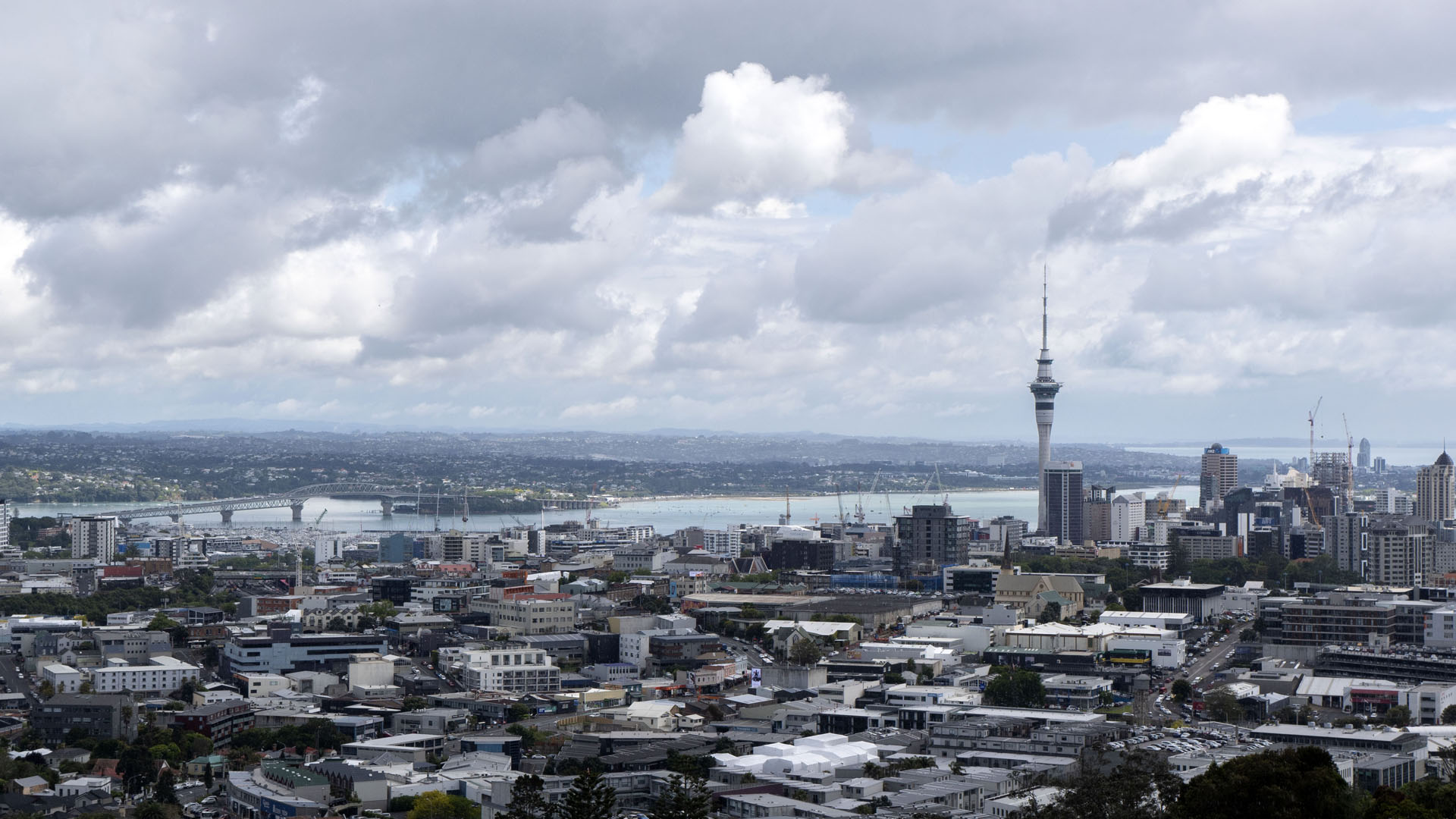 Maungawhau / Mount Eden