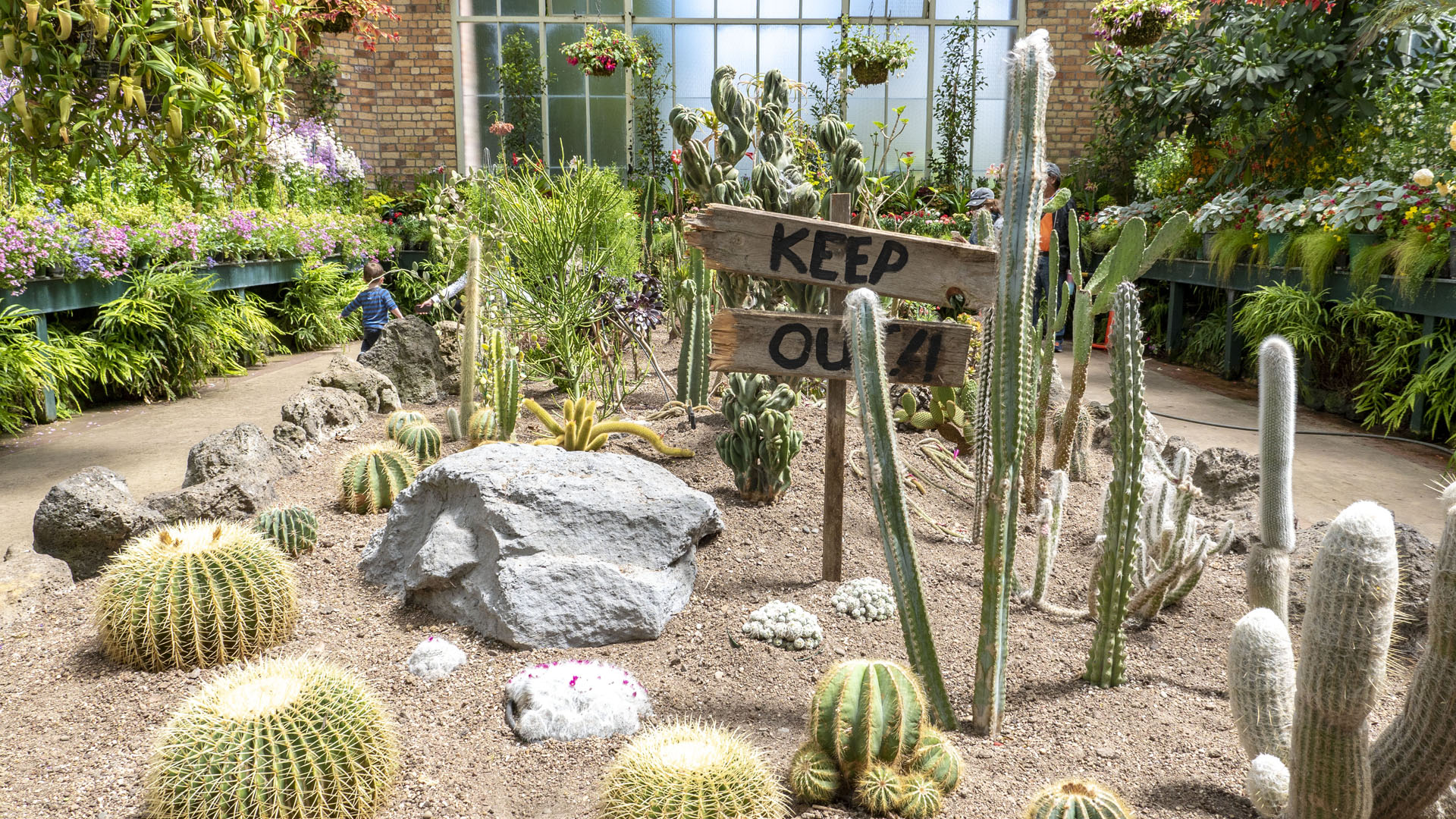 Auckland Domain Winter Garden
