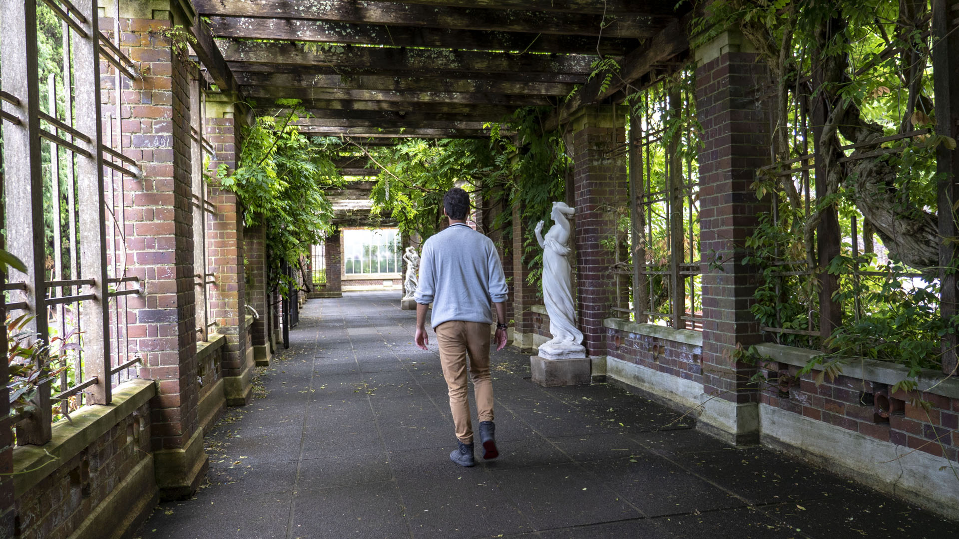 Auckland Domain Winter Garden