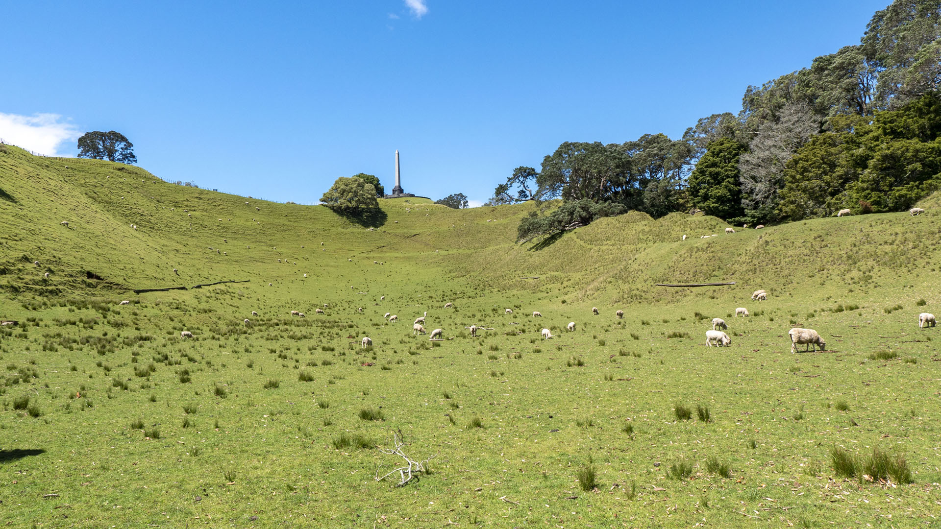 Maungakiekie / One Tree Hill