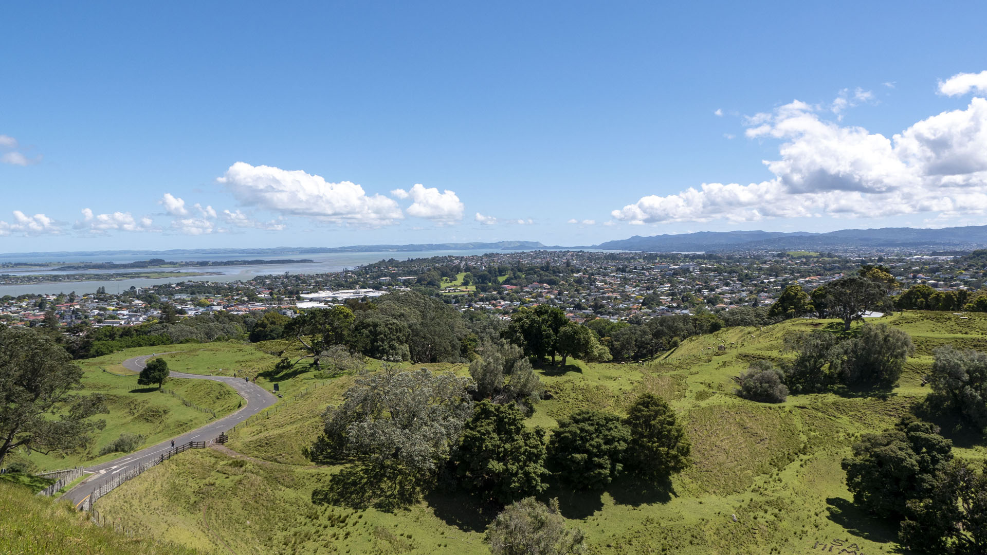 Maungakiekie / One Tree Hill