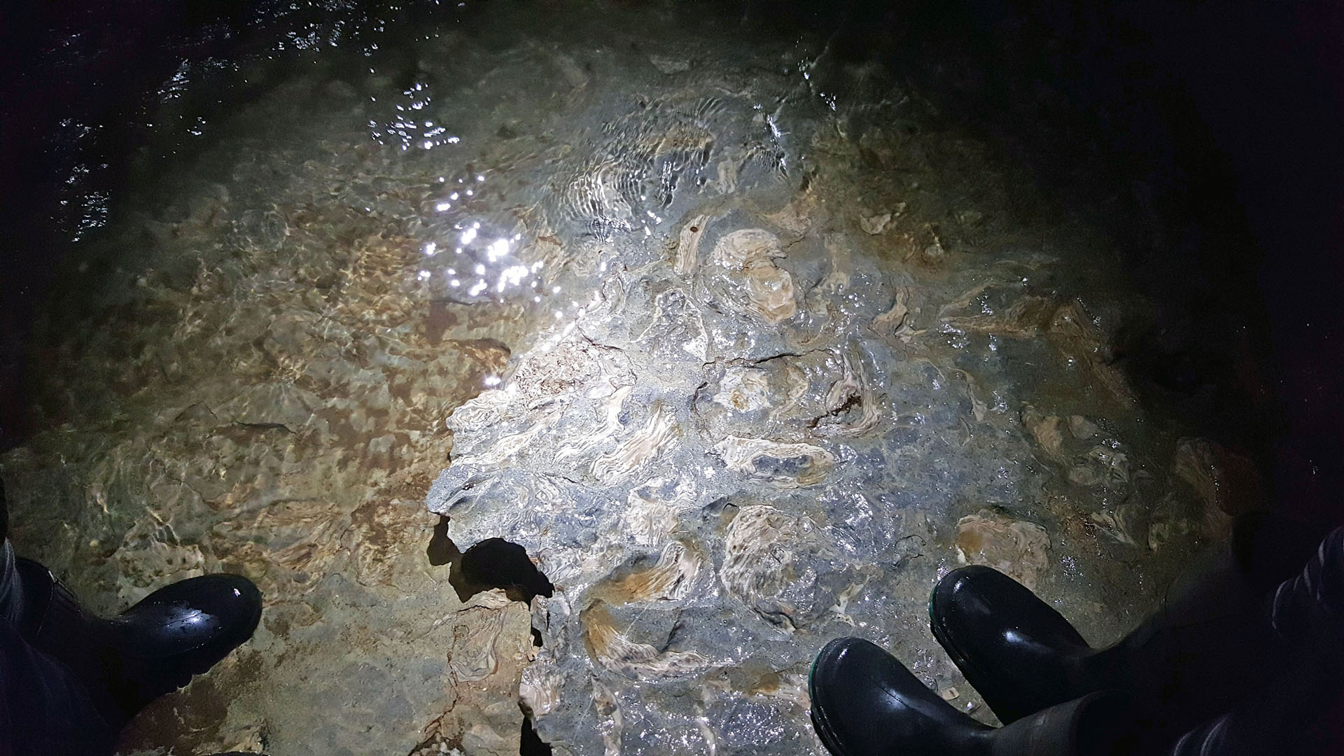 Soggy boots walking through the river
