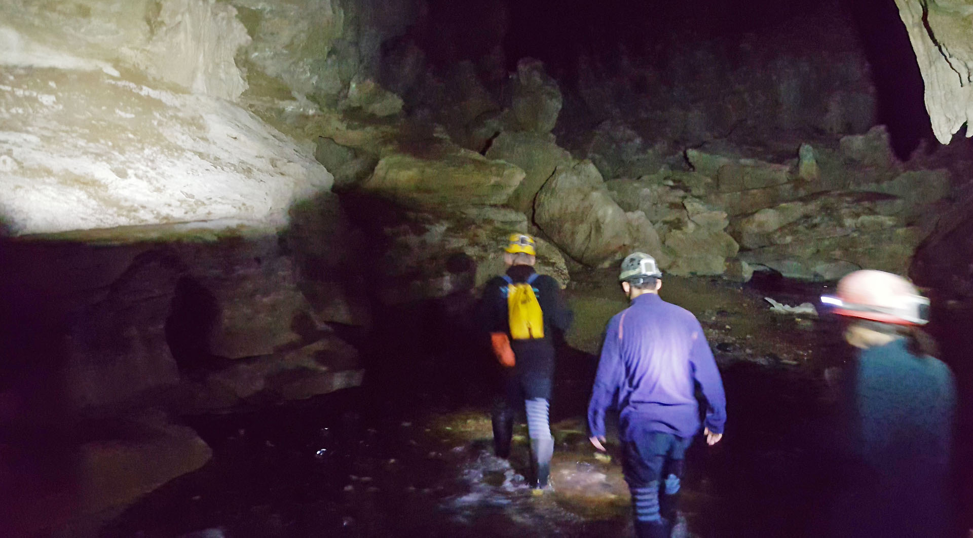 Entering the Waitomo Glowworm Cave