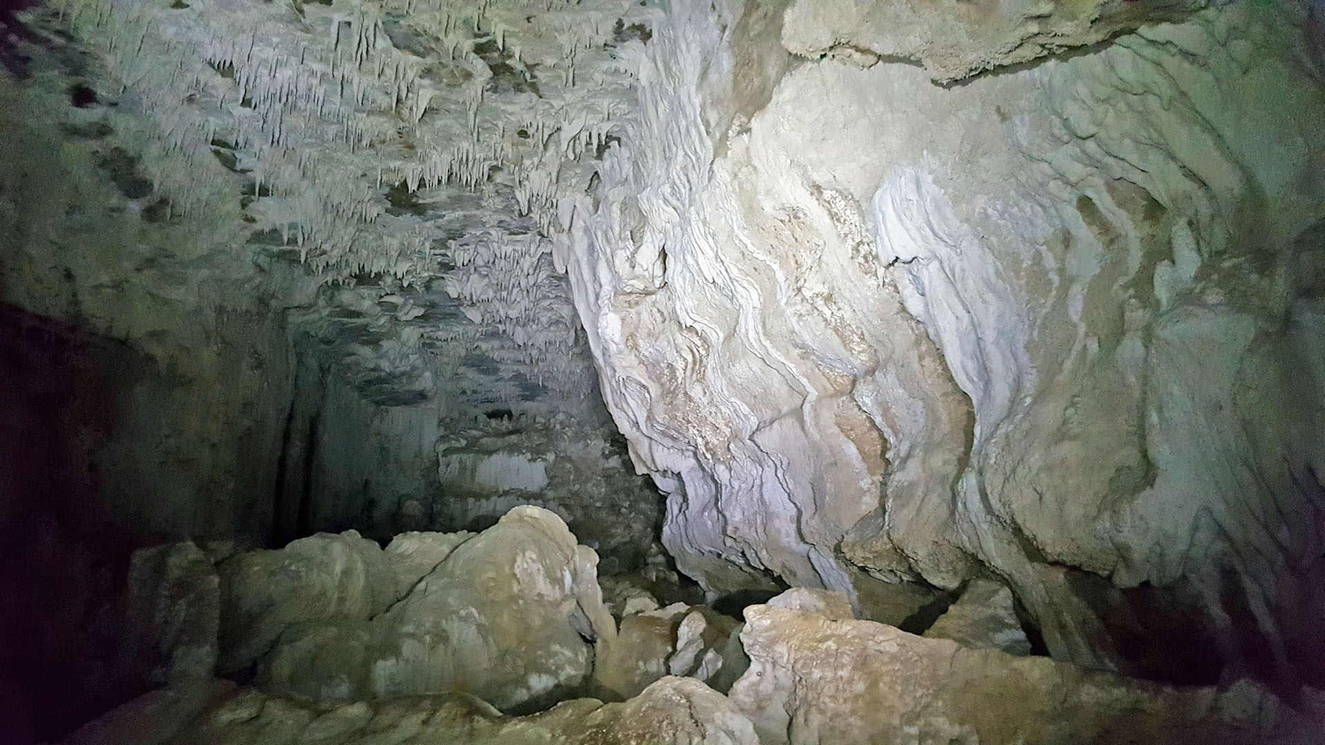 Waitomo Glowworm Caves