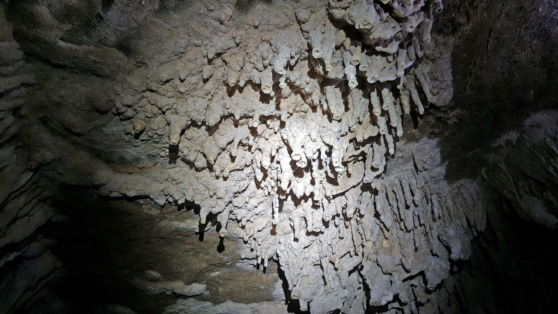 Rock formations inside the Waitomo Glowworm Caves