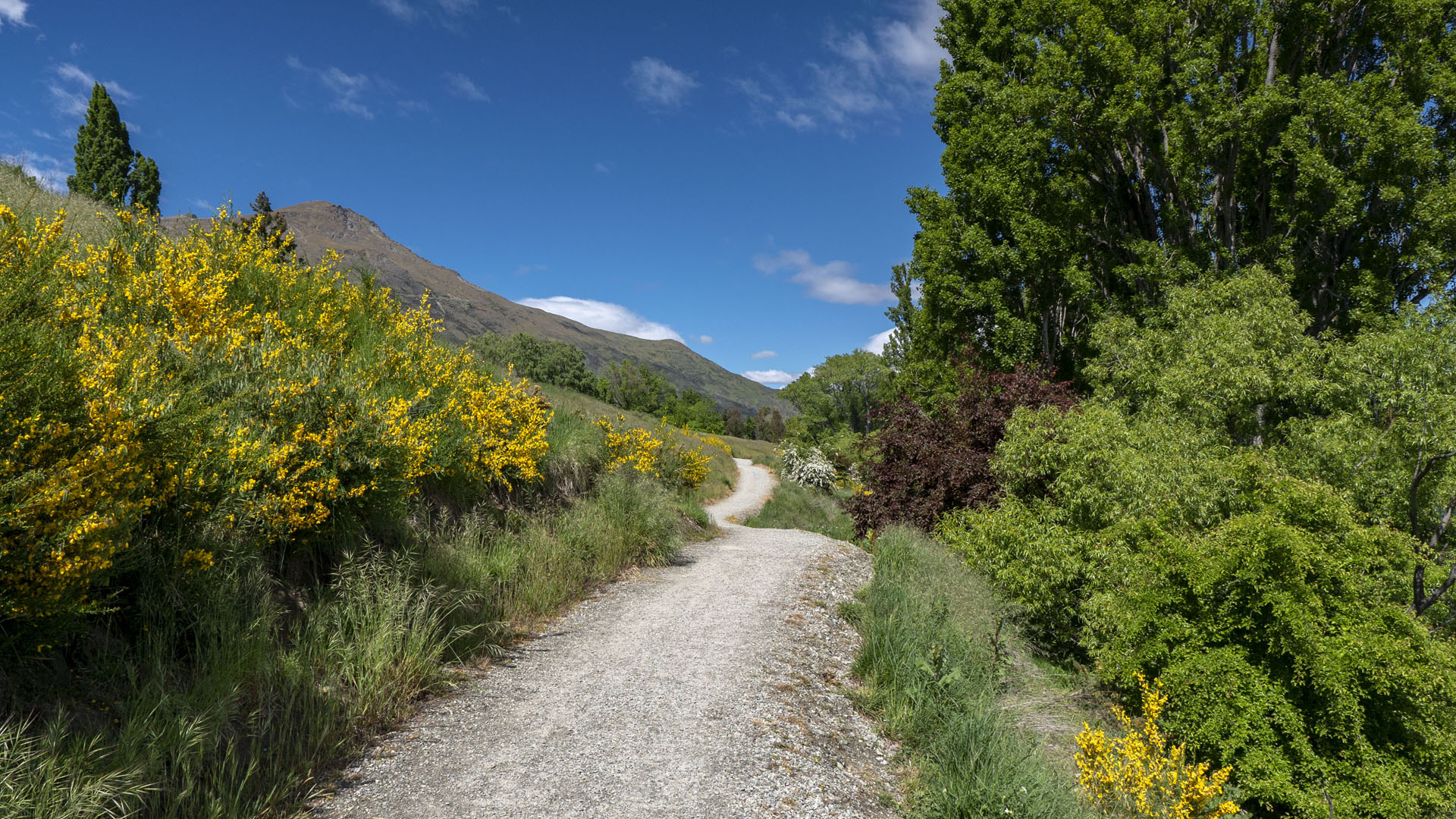 Lake Hayes Walkway, New Zealand