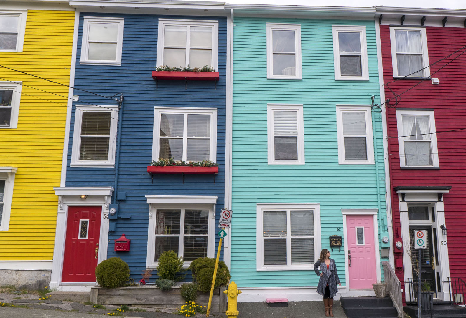 2018-StJohns035 Jellybean Row
