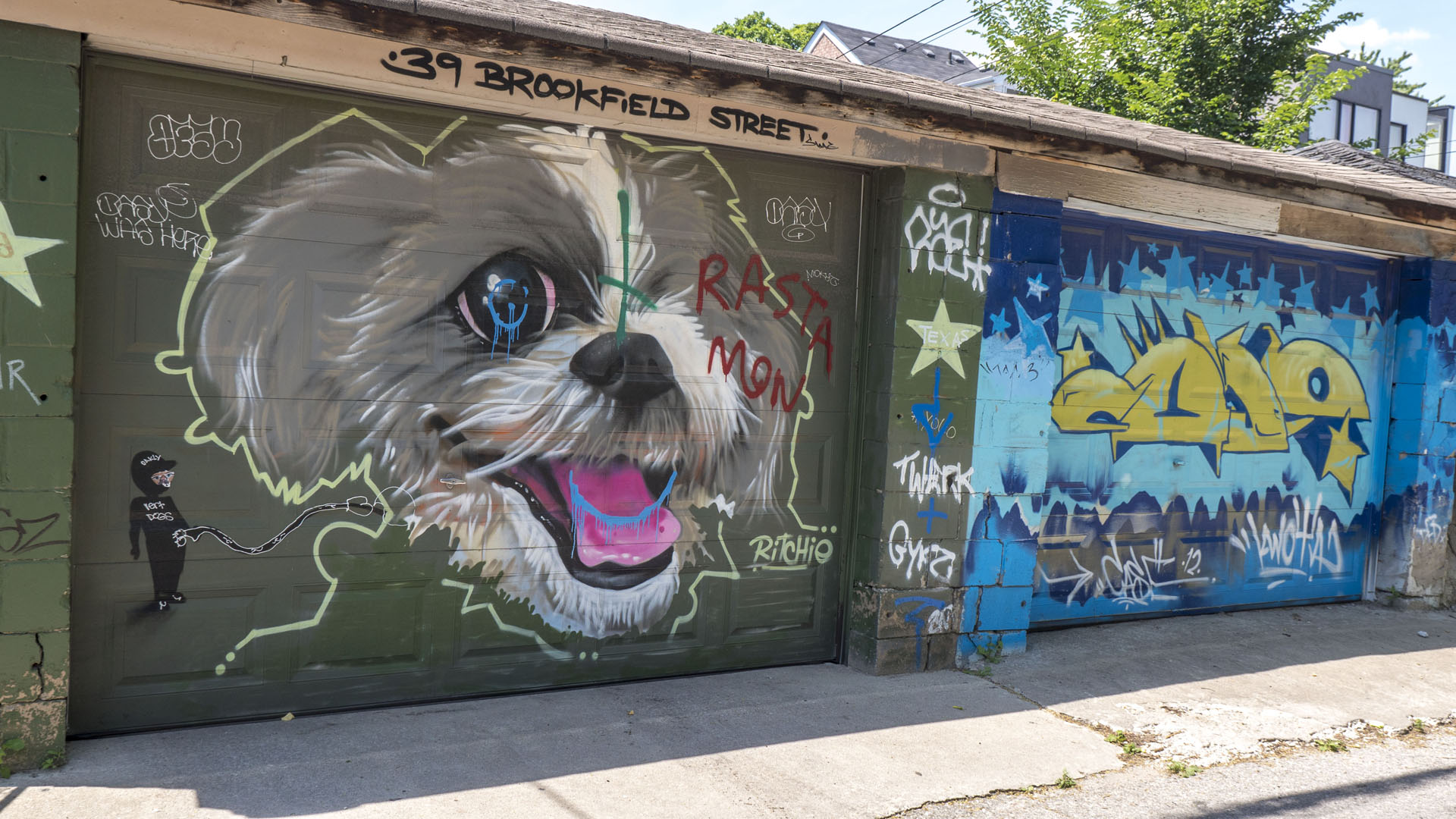 2018-StreetArt035 Ossington Laneway Street Art