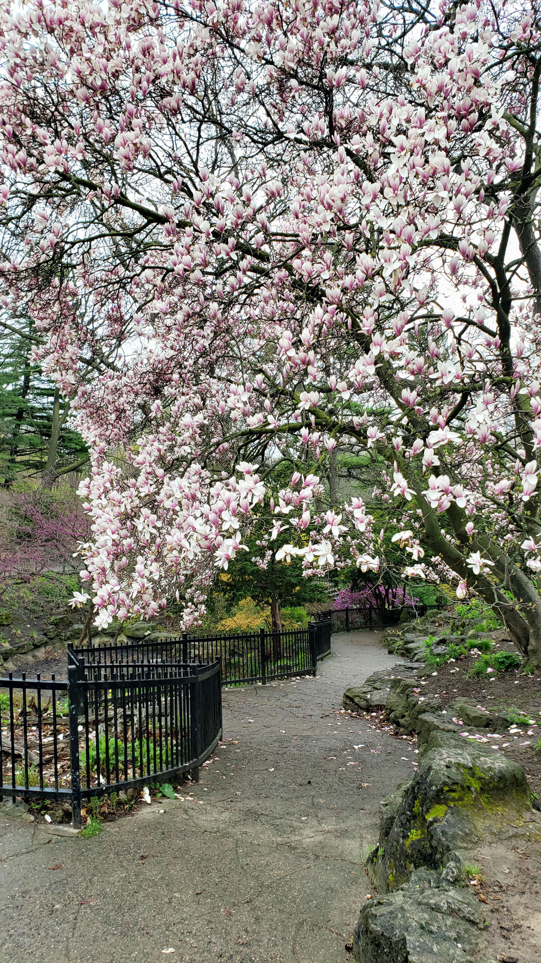 High Park