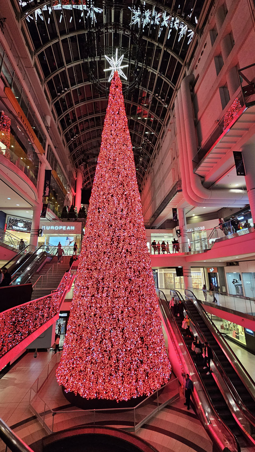 Eaton Centre Christmas Tree