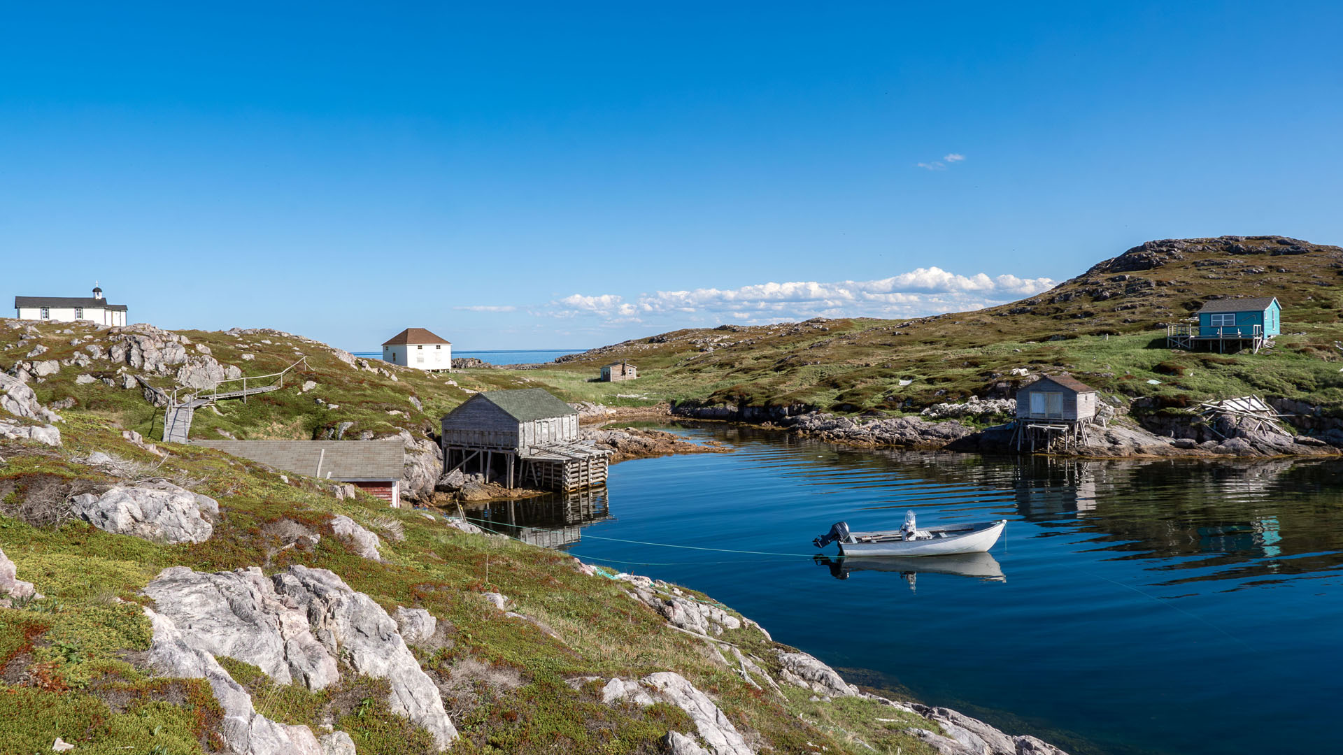 2024-FogoIsland100 Boat Tour to Little Fogo Islands