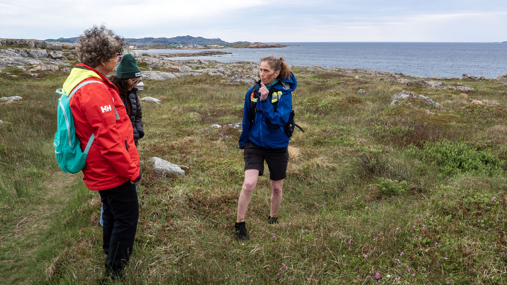 2024-FogoIsland147 Foraging and Tea Making Workshop