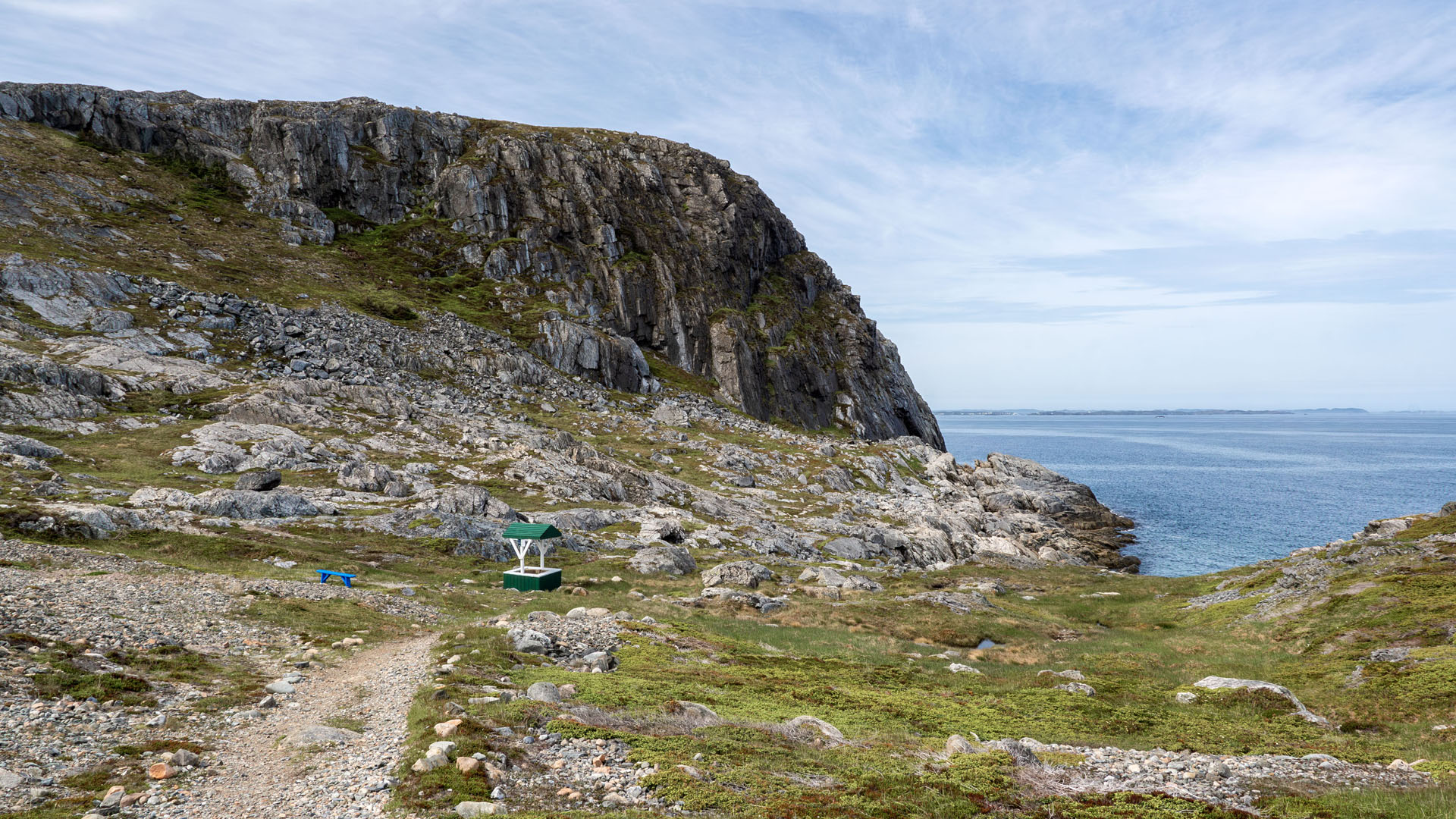 2024-FogoIsland245 Brimstone Head