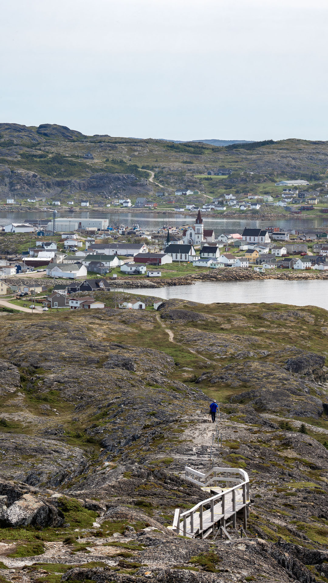2024-FogoIsland260 Brimstone Head