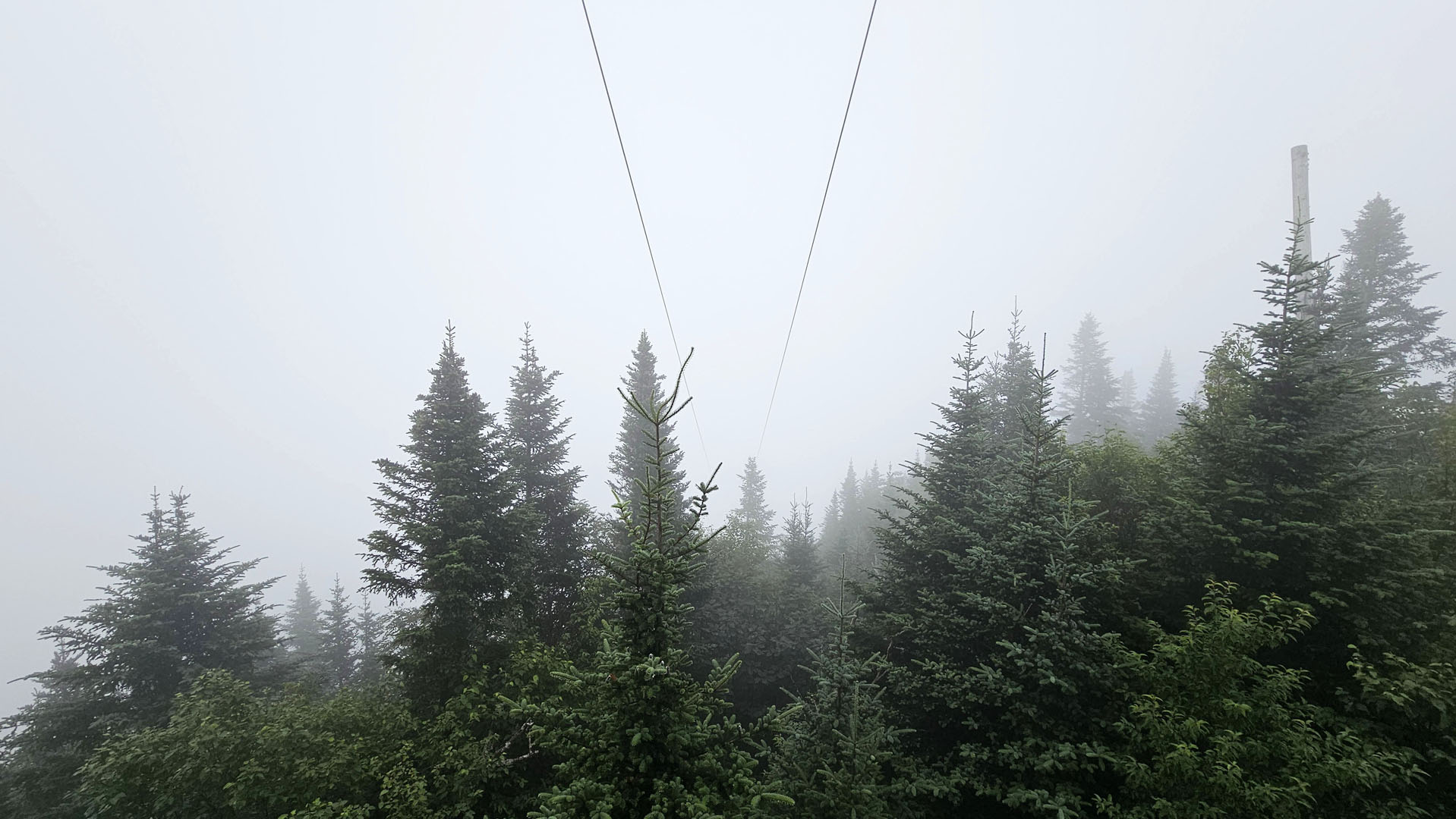 2024-Laurentians075 Ziptrek Tremblant