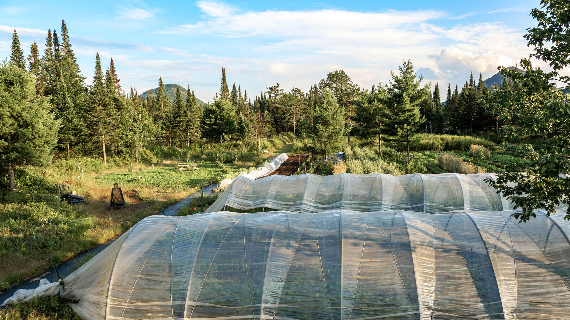 2024-Laurentians142 Nordic farm at Farouche Tremblant