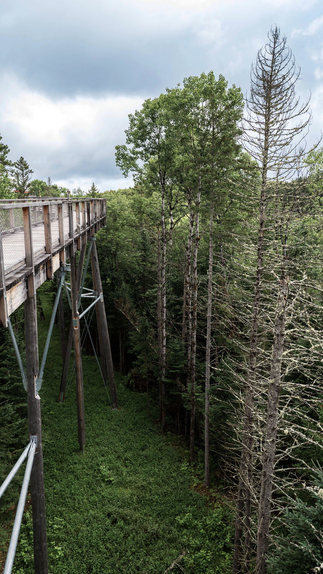 2024-Laurentians152 Sentier des cimes Laurentides