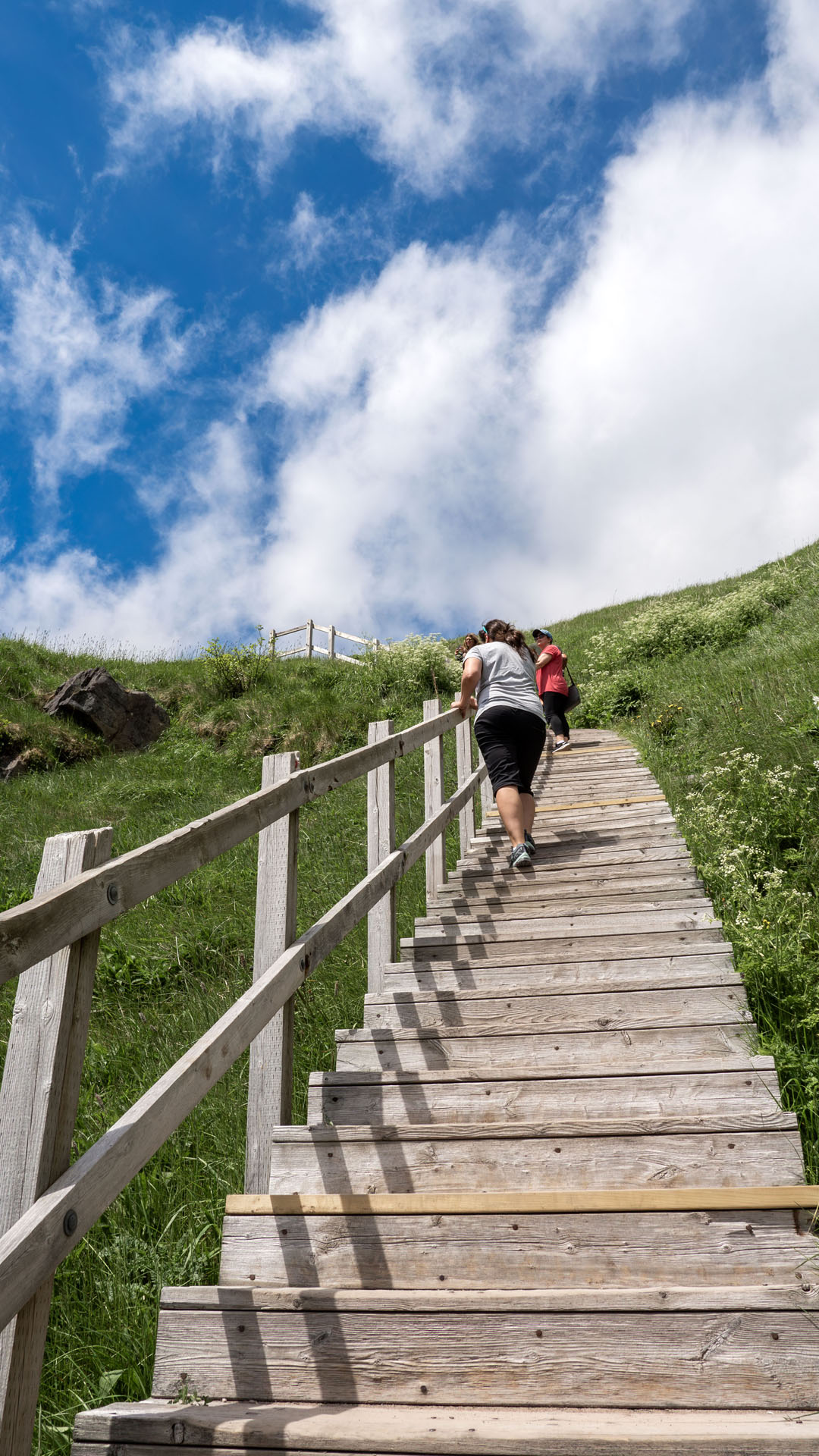 2024-StJohns126 Things to Do in St. John's: Hike at Signal Hill