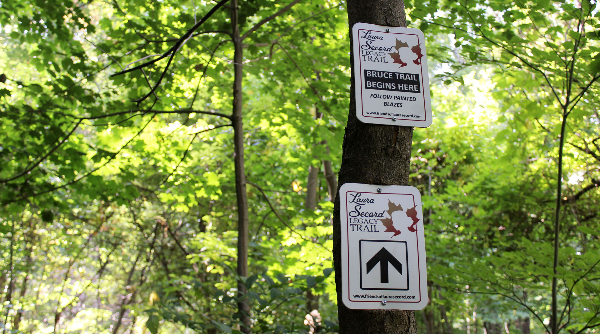 Laura Secord Trail in Niagara