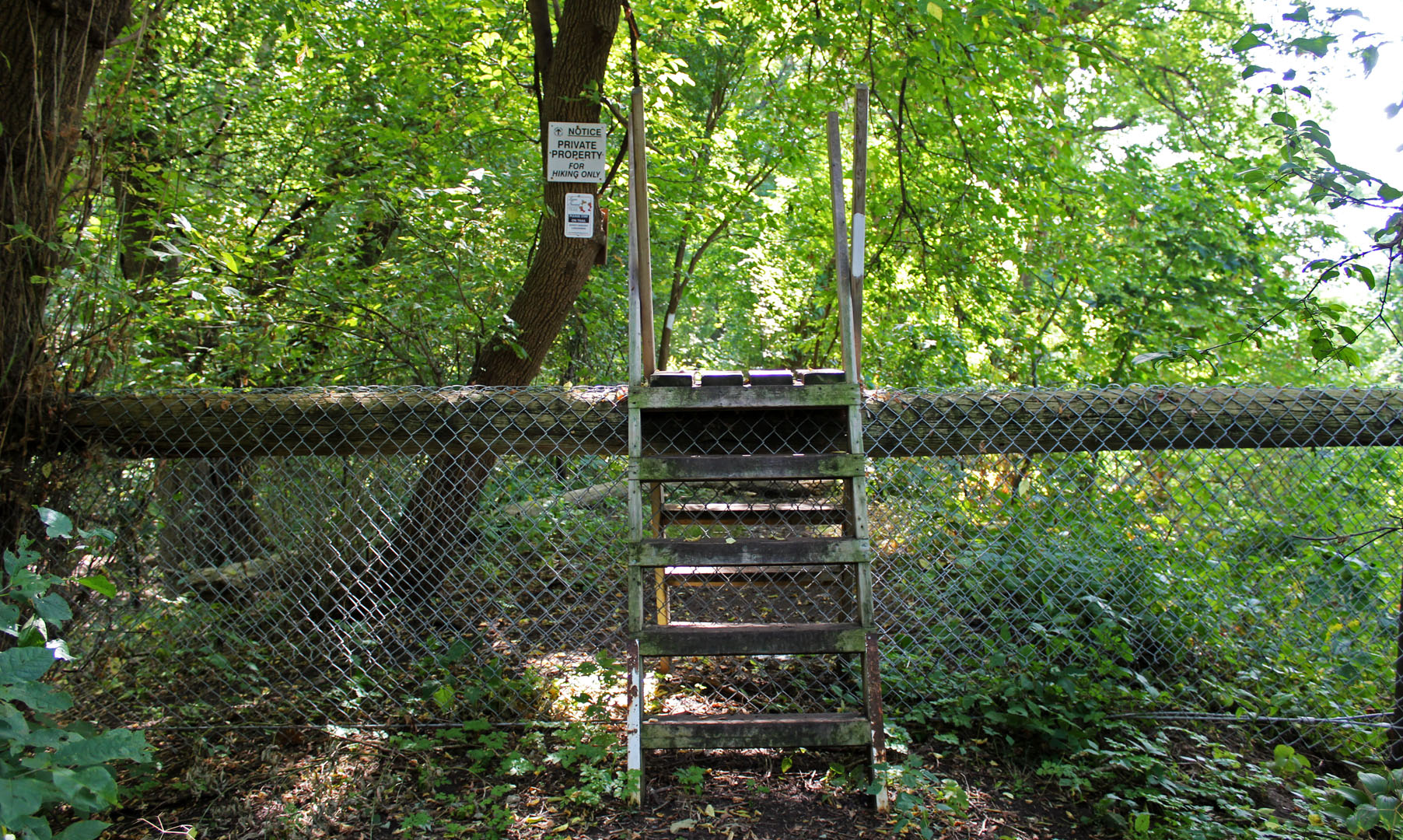 Stairs on the Bruce Trail