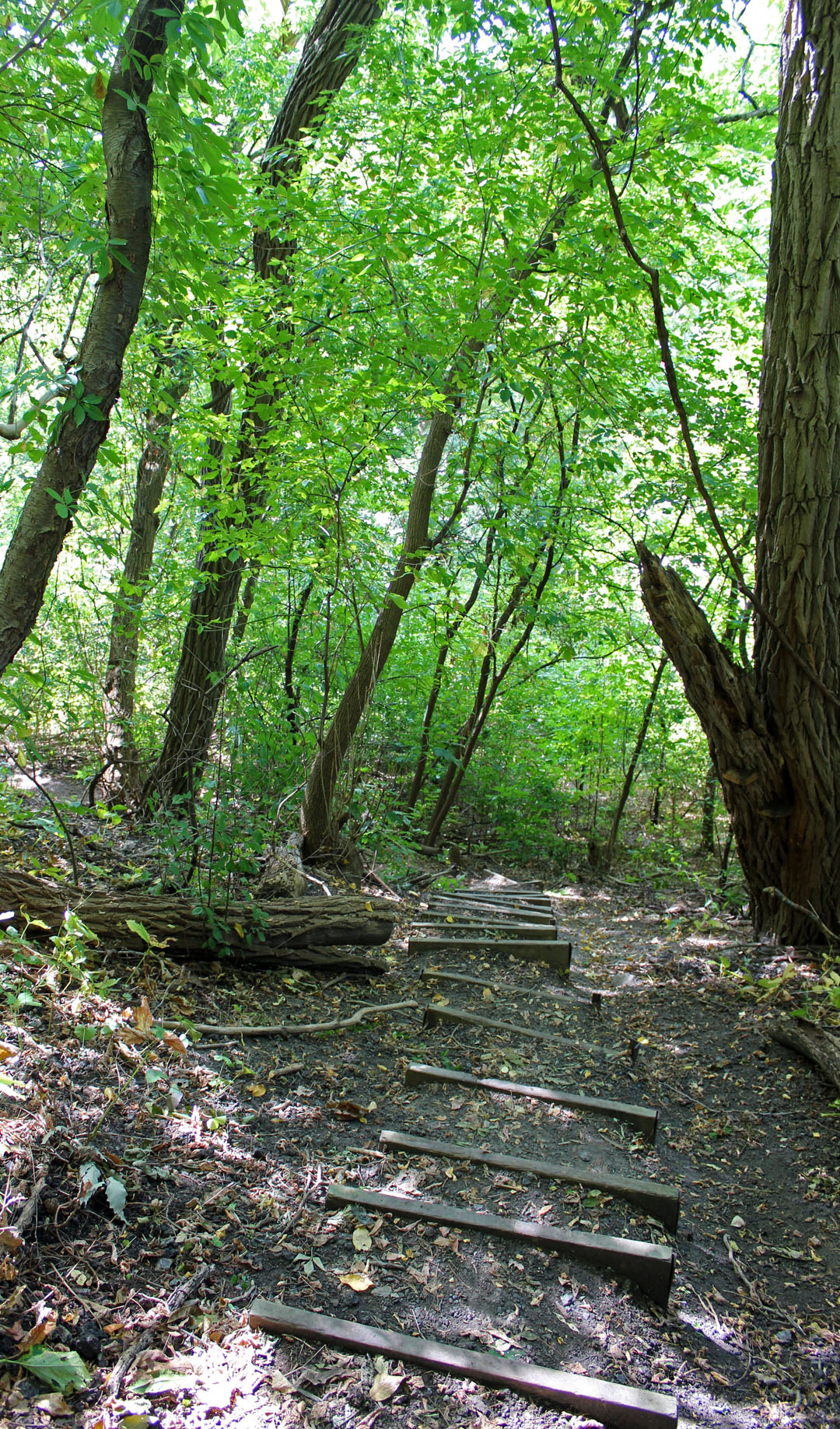Bruce Trail Niagara