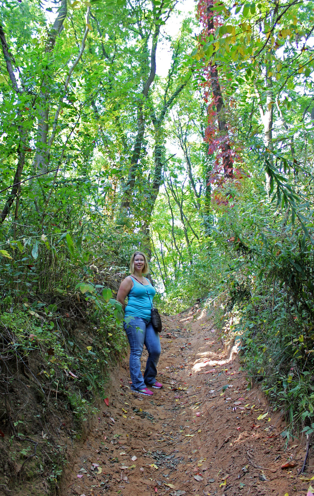Shannon in the forest
