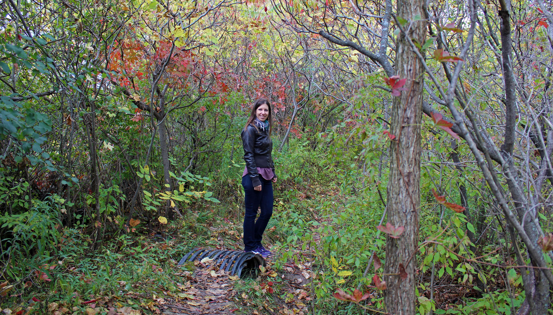 Robyn on the Bruce Trail