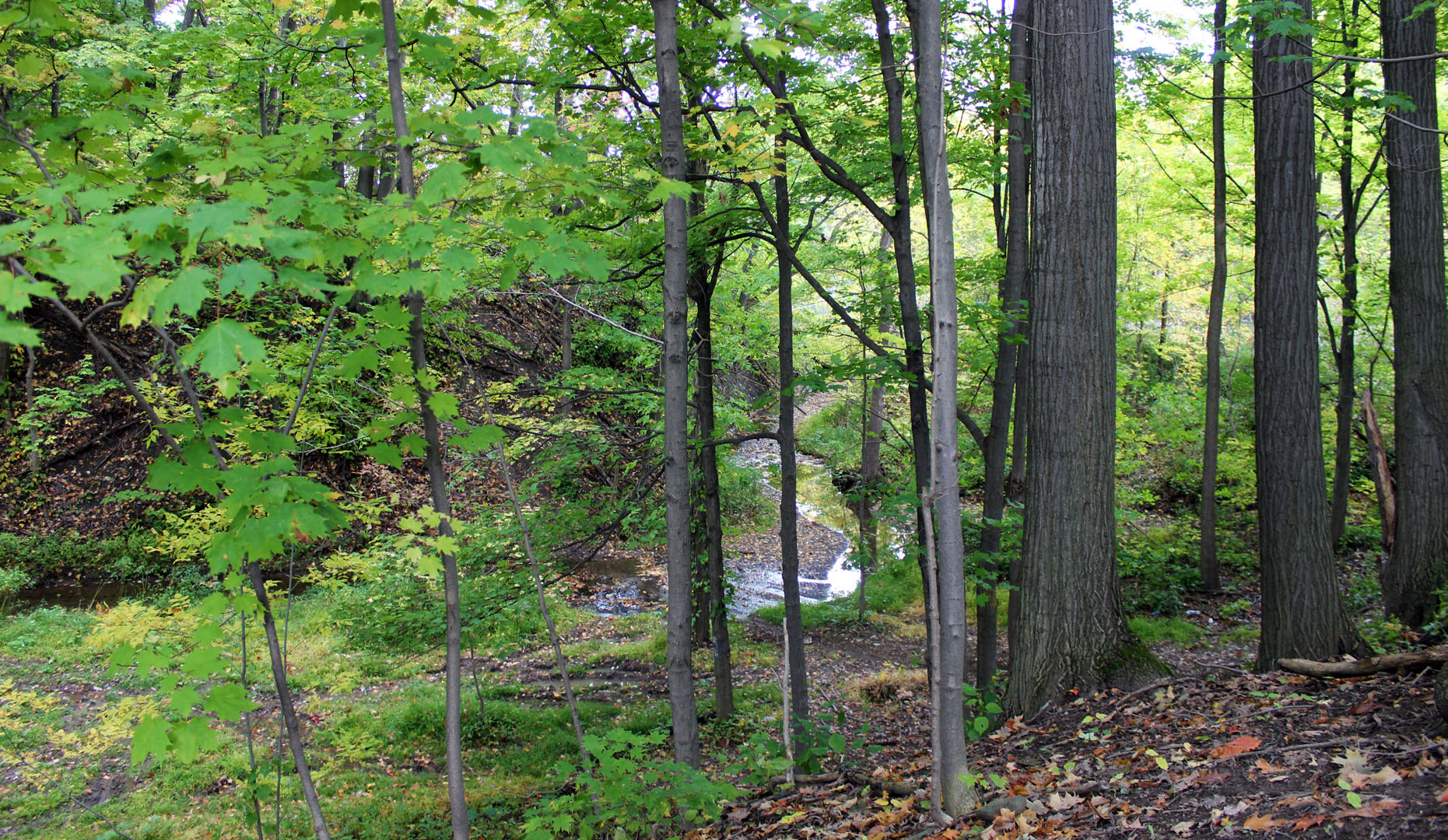 Hiking the Bruce Trail in Niagara region