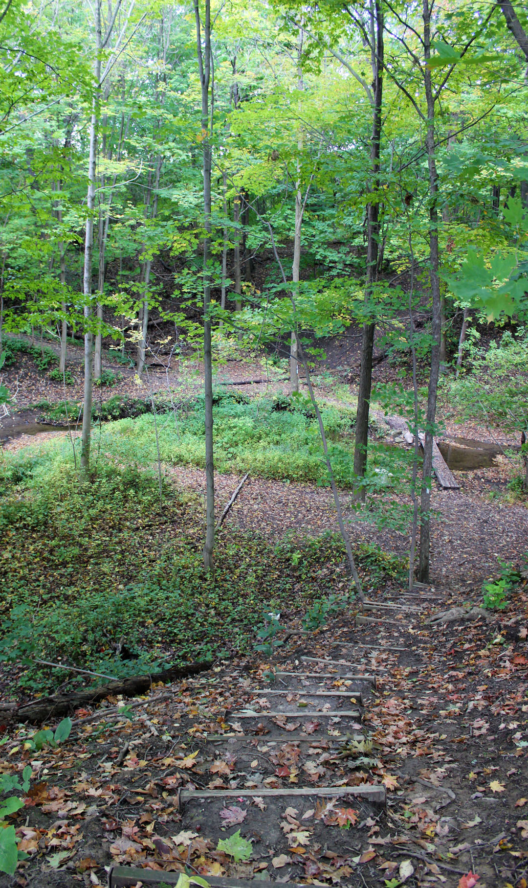 Hiking the Bruce Trail in Niagara region