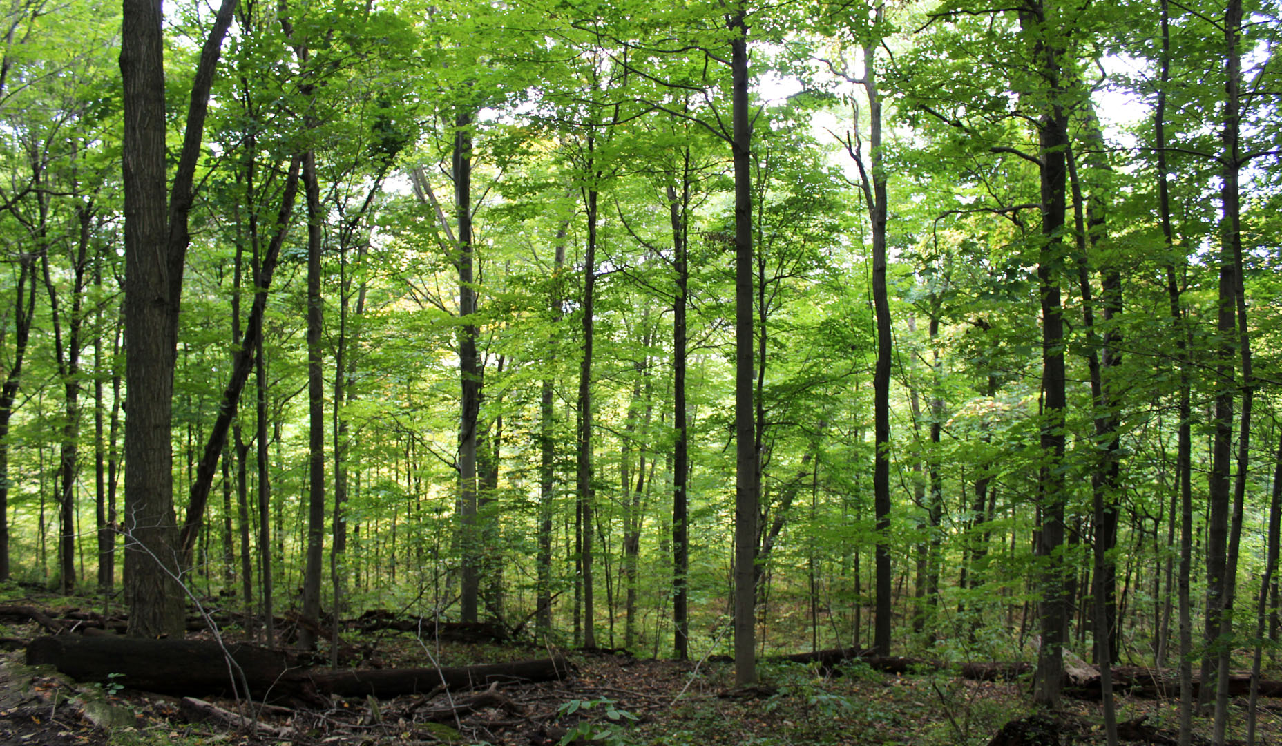 Hiking in Ontario