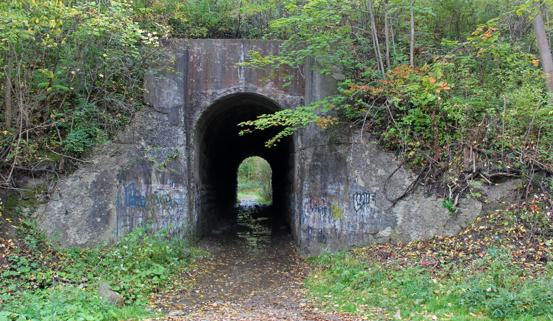 The Screaming Tunnel
