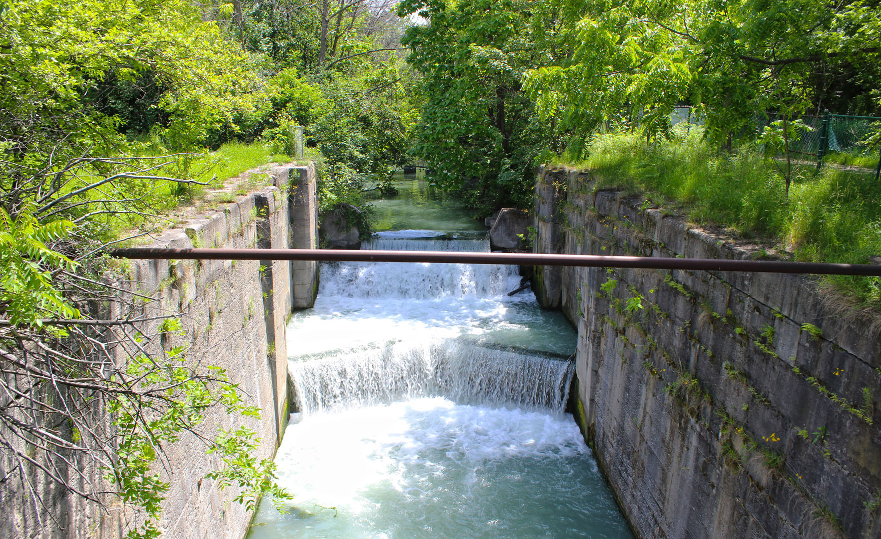Water feature on the Bruce Trail
