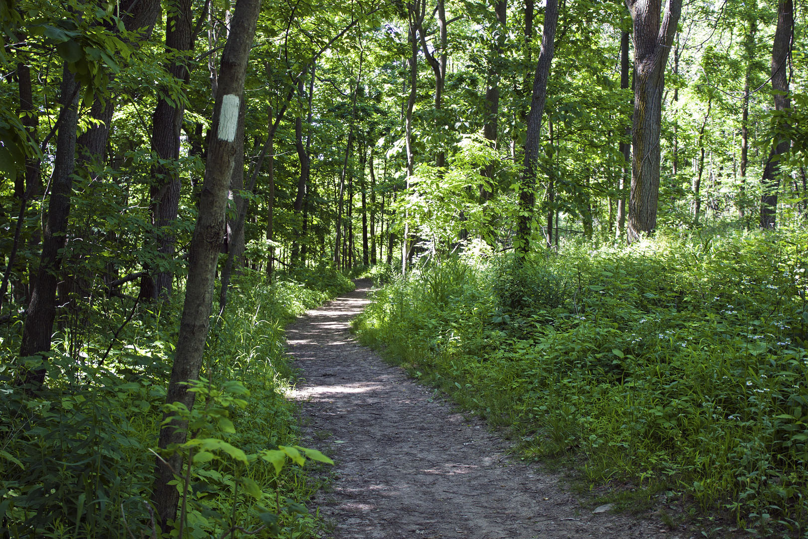 Hiking the Bruce Trail