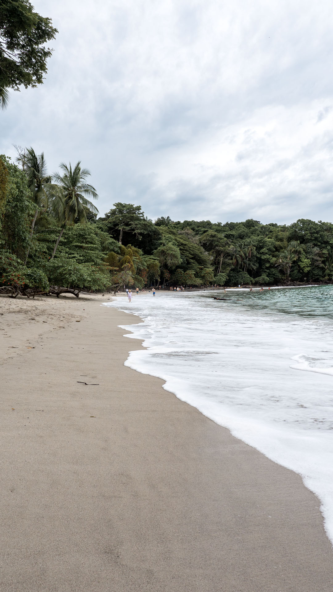 2023-ManuelAntonio023 Things to do in Manuel Antonio