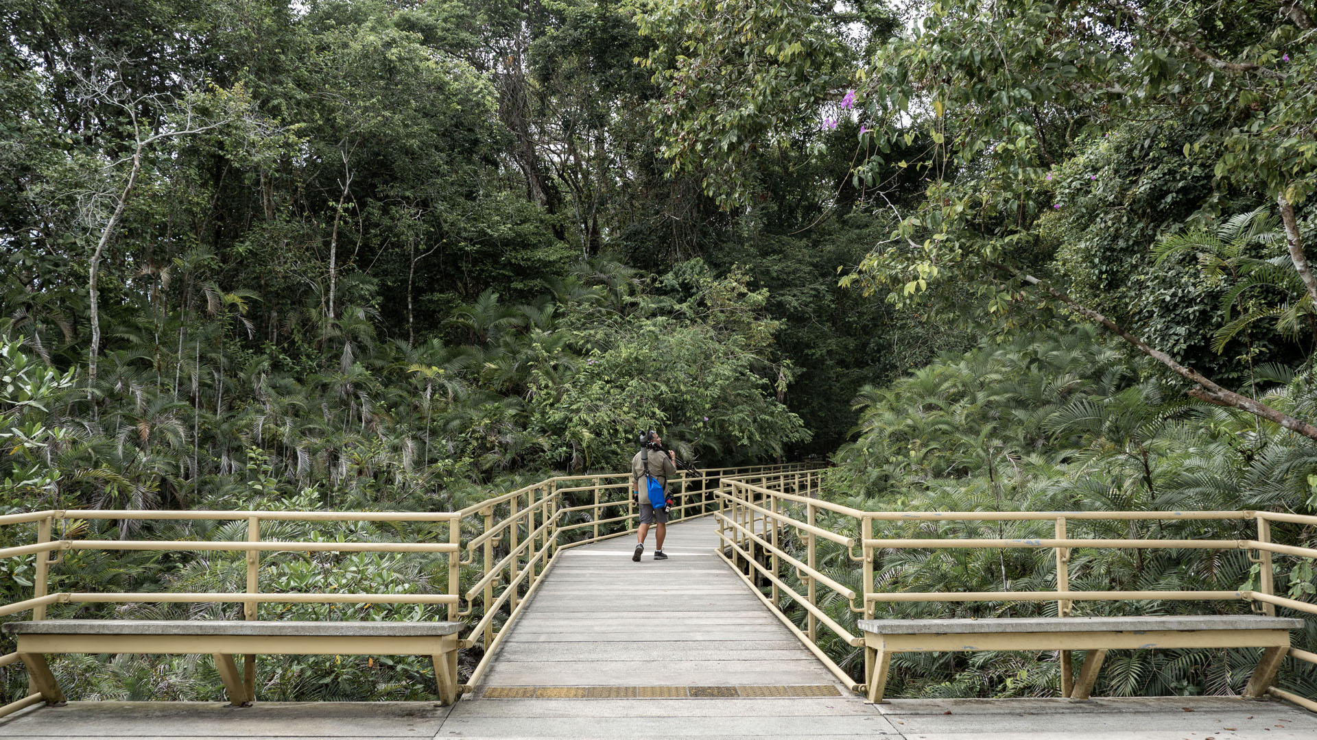 2023-ManuelAntonio034 Hiking trails at Manuel Antonio National Park