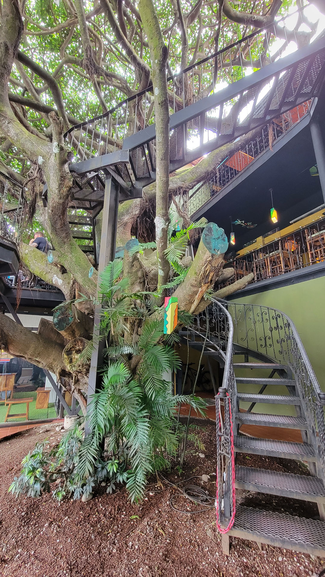 2023-Monteverde099 Tree House Restaurante
