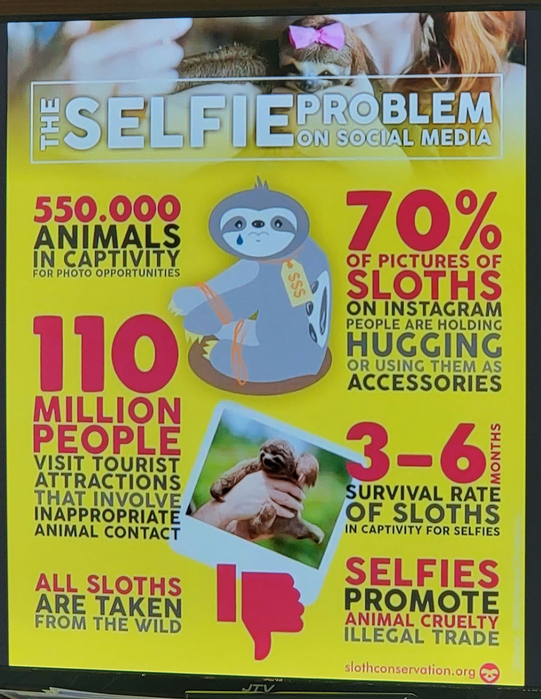 2023-ToucanRescueRanch006 The problem with sloth selfies