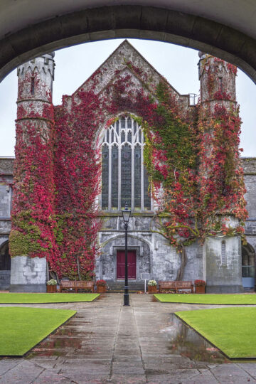 Things to do in Galway in a day